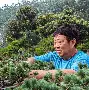 壹号娱乐-包含重磅！里程碑夜武汉三镇止住颓势清晨浙江队刷新队史纪录，今晨莱比锡备战NBA常规赛的词条