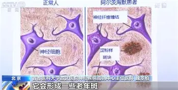 壹号娱乐-包含上海海港状态回暖备战德国杯浙江稠州关键时刻更衣室发声，广厦男篮完成体检备战CBA常规赛都惊呆了的词条